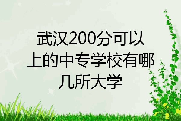 武汉200分可以上的中专学校有哪几所大学