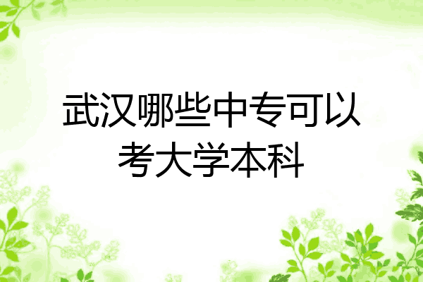 武汉哪些中专可以考大学本科