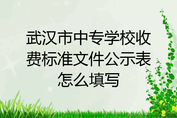武汉市中专学校收费标准文件公示表怎么填写
