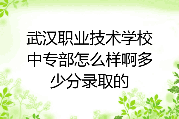 武汉职业技术学校中专部怎么样啊多少分录取的