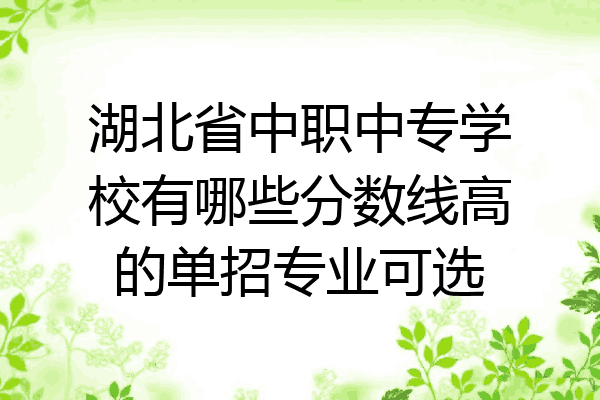 湖北省中职中专学校有哪些分数线高的单招专业可选