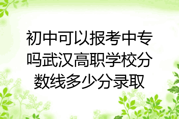 初中可以报考中专吗武汉高职学校分数线多少分录取