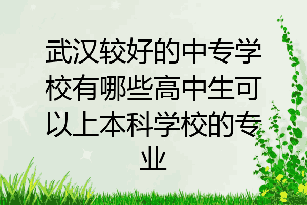 武汉较好的中专学校有哪些高中生可以上本科学校的专业