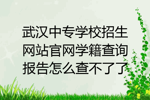 武汉中专学校招生网站官网学籍查询报告怎么查不了了