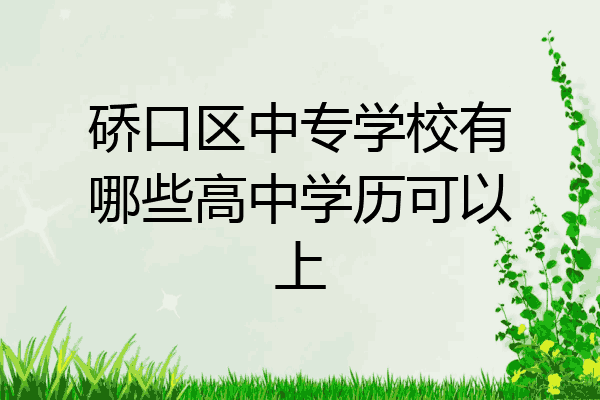 硚口区中专学校有哪些高中学历可以上