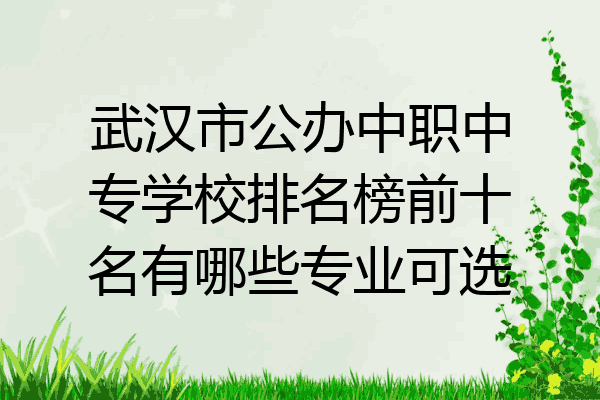 武汉市公办中职中专学校排名榜前十名有哪些专业可选