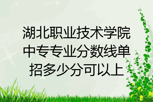 湖北职业技术学院中专专业分数线单招多少分可以上