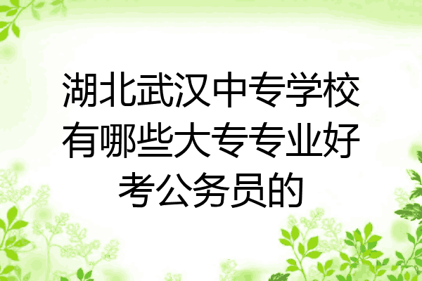 湖北武汉中专学校有哪些大专专业好考公务员的