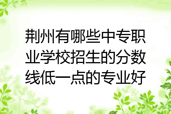 荆州有哪些中专职业学校招生的分数线低一点的专业好