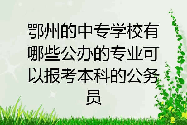 鄂州的中专学校有哪些公办的专业可以报考本科的公务员