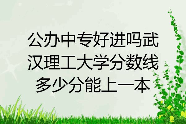 公办中专好进吗武汉理工大学分数线多少分能上一本