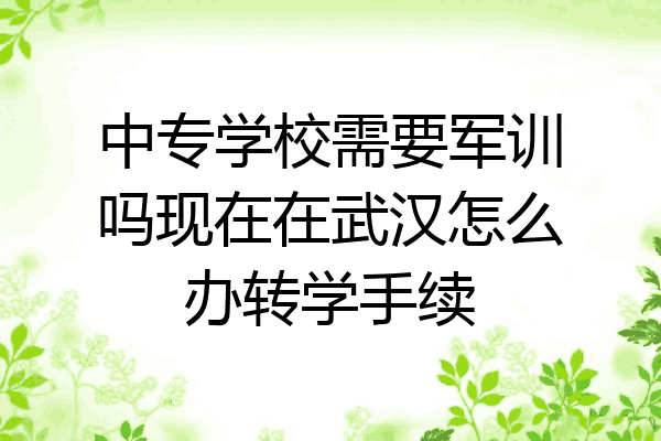 中专学校需要军训吗现在在武汉怎么办转学手续