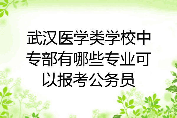 武汉医学类学校中专部有哪些专业可以报考公务员