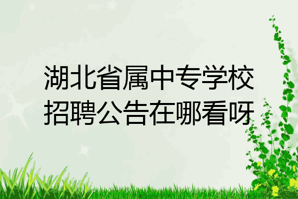 湖北省属中专学校招聘公告在哪看呀