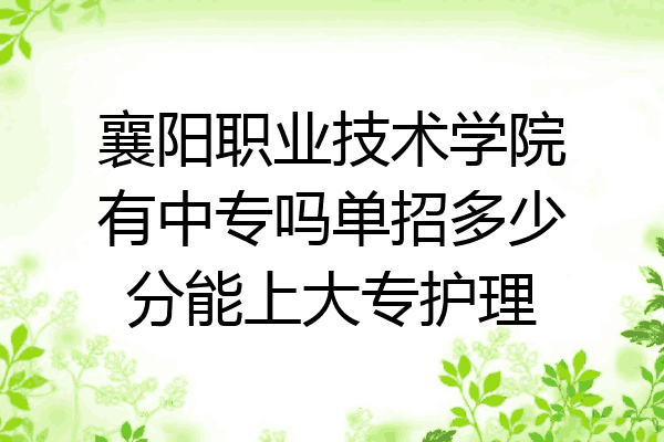 襄阳职业技术学院有中专吗单招多少分能上大专护理