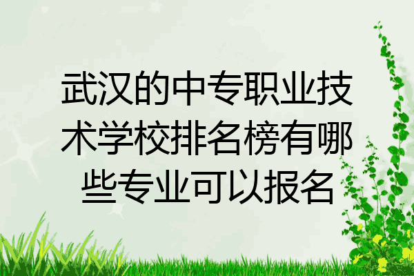 武汉的中专职业技术学校排名榜有哪些专业可以报名