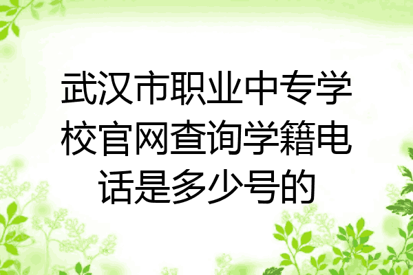 武汉市职业中专学校官网查询学籍电话是多少号的