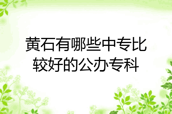 黄石有哪些中专比较好的公办专科