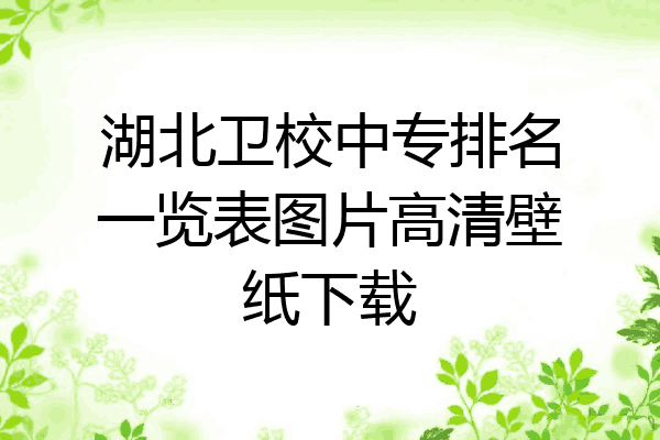 湖北卫校中专排名一览表图片高清壁纸下载