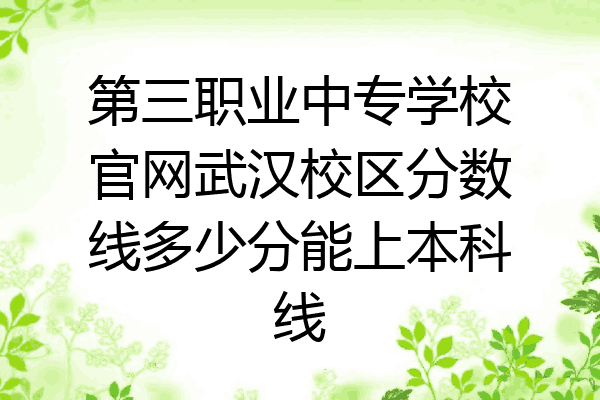 第三职业中专学校官网武汉校区分数线多少分能上本科线