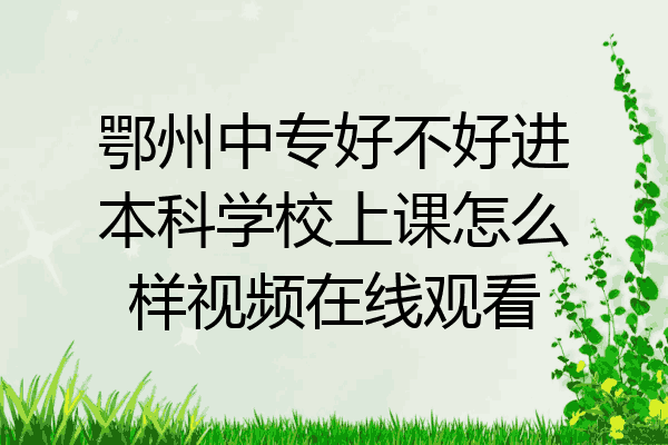 鄂州中专好不好进本科学校上课怎么样视频在线观看