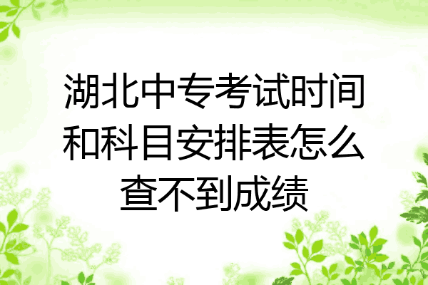 湖北中专考试时间和科目安排表怎么查不到成绩
