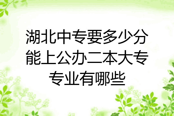 湖北中专要多少分能上公办二本大专专业有哪些