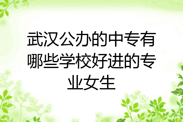 武汉公办的中专有哪些学校好进的专业女生