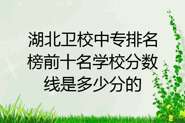 湖北卫校中专排名榜前十名学校分数线是多少分的