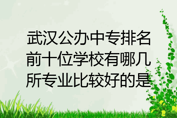 武汉公办中专排名前十位学校有哪几所专业比较好的是