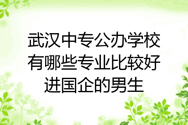武汉中专公办学校有哪些专业比较好进国企的男生
