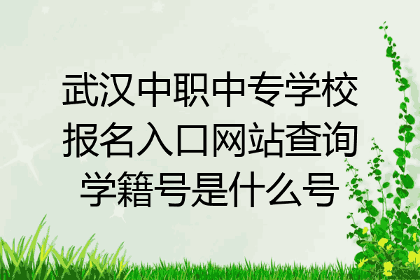 武汉中职中专学校报名入口网站查询学籍号是什么号