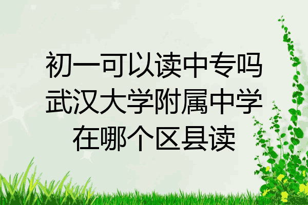 初一可以读中专吗武汉大学附属中学在哪个区县读