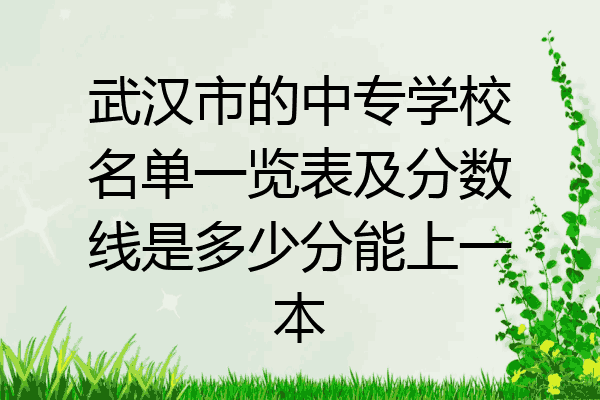 武汉市的中专学校名单一览表及分数线是多少分能上一本