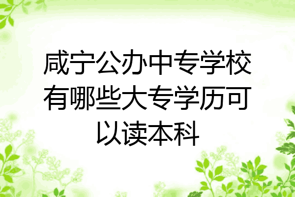 咸宁公办中专学校有哪些大专学历可以读本科