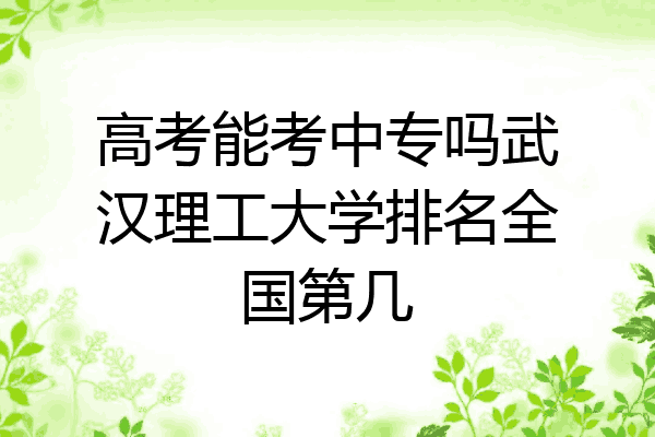 高考能考中专吗武汉理工大学排名全国第几