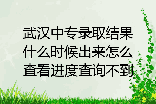 武汉中专录取结果什么时候出来怎么查看进度查询不到
