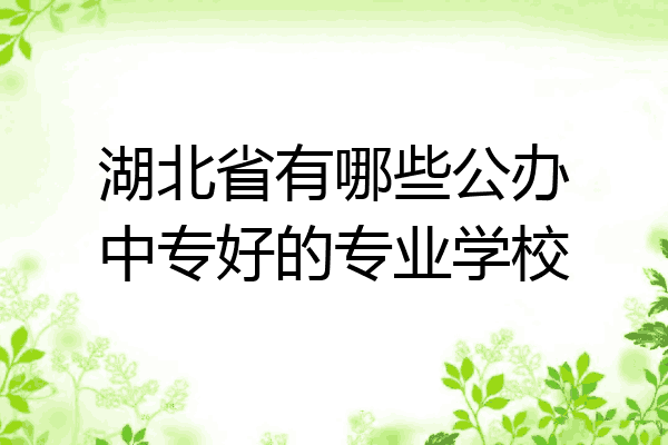 湖北省有哪些公办中专好的专业学校