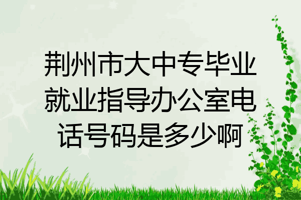 荆州市大中专毕业就业指导办公室电话号码是多少啊
