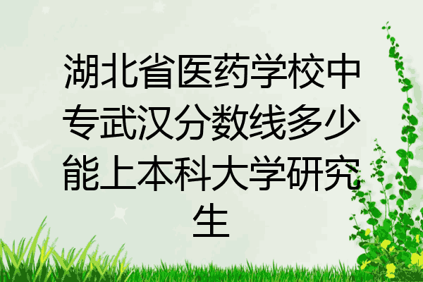 湖北省医药学校中专武汉分数线多少能上本科大学研究生