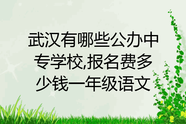武汉有哪些公办中专学校,报名费多少钱一年级语文