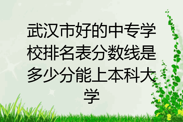 武汉市好的中专学校排名表分数线是多少分能上本科大学