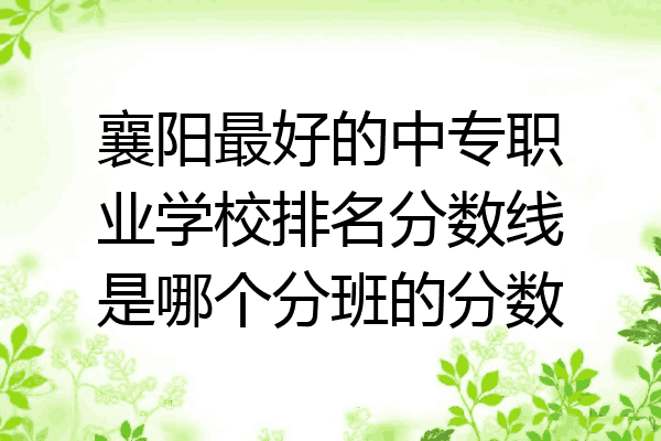 襄阳最好的中专职业学校排名分数线是哪个分班的分数