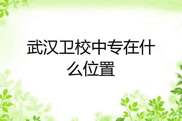 武汉卫校中专在什么位置