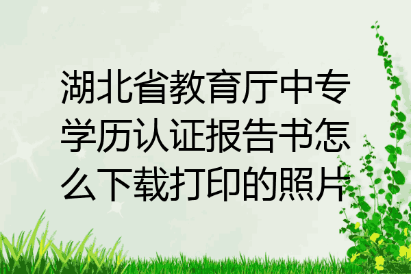 湖北省教育厅中专学历认证报告书怎么下载打印的照片