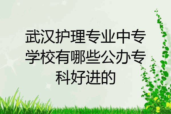 武汉护理专业中专学校有哪些公办专科好进的