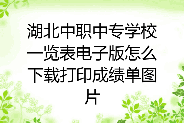 湖北中职中专学校一览表电子版怎么下载打印成绩单图片