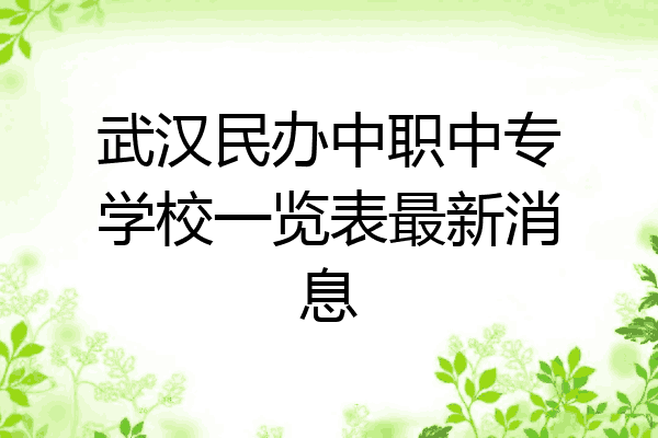 武汉民办中职中专学校一览表最新消息