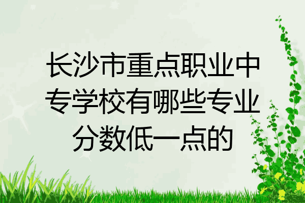 长沙市重点职业中专学校有哪些专业分数低一点的