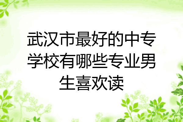 武汉市最好的中专学校有哪些专业男生喜欢读